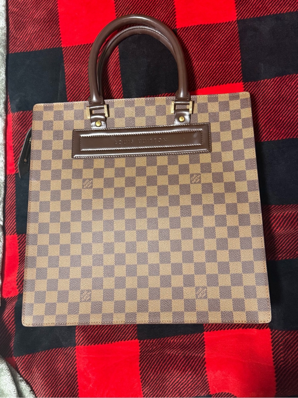 Louis Vuitton Tote with Vibrant Red Suede Interior